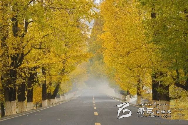 康定新都橋，有一條黃金大道通往夢(mèng)中的天堂