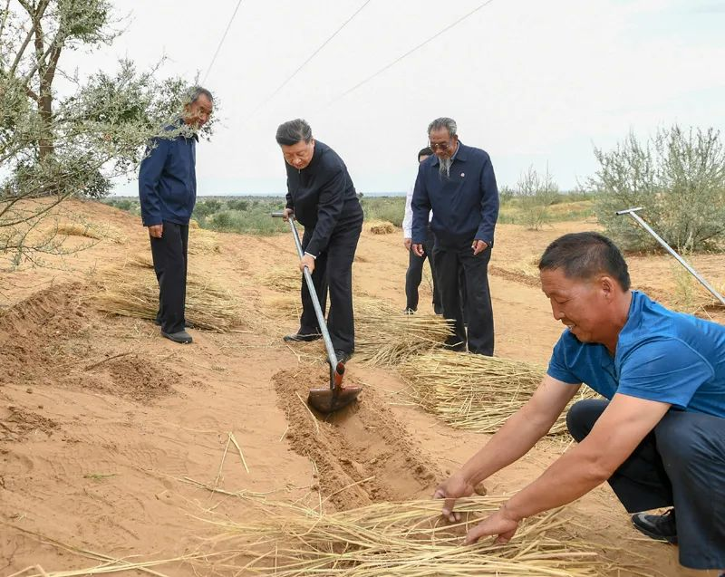 2019年8月21日，習近平來到甘肅省武威市古浪縣八步沙林場，實地察看當?shù)刂紊吃炝帧⑸鷳B(tài)保護等情況。新華社記者 謝環(huán)馳 攝