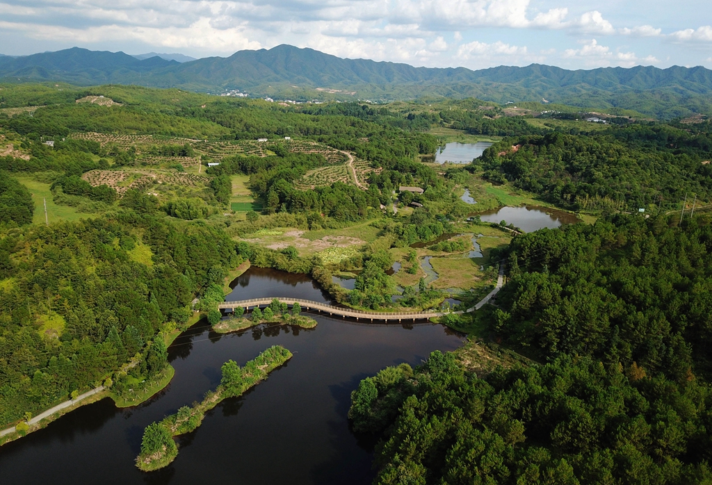 福建省龍巖市長汀縣的長汀汀江國家濕地公園景色（2020年7月28日攝，無人機照片）。新華社記者 魏培全 攝