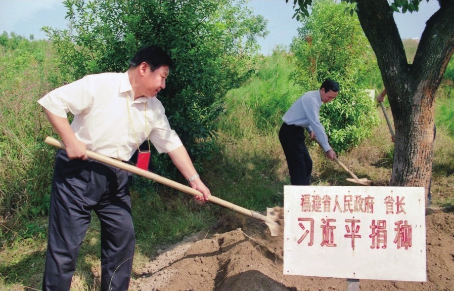 2001年10月，習近平在龍巖市長汀縣調(diào)研水土流失治理工作，在河田世紀生態(tài)園為樹培土。圖源：《習近平在福建（下）》