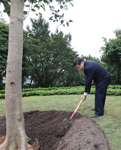 2012年12月7日至11日，習近平在廣東省考察工作。這是8日上午，習近平在深圳蓮花山公園種下一棵高山榕樹。新華社記者 蘭紅光 攝